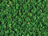 Nearly grass 20