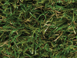 Nearly grass 24 premium