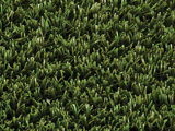 Nearly grass 24 standard