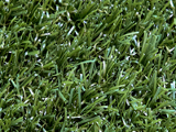 Nearly grass 40 elite